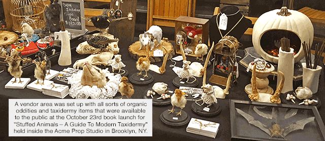 The Arc of Taxidermy History – Ken's Corner