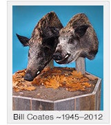 Bill Coates