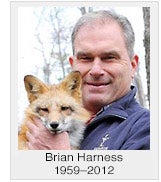 Brian Harness