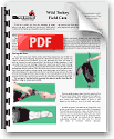 PDF Wild Turkey Taxidermy Displays