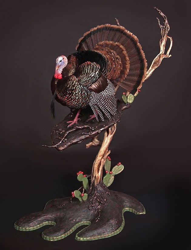 Andy Campbell's Wild Turkey