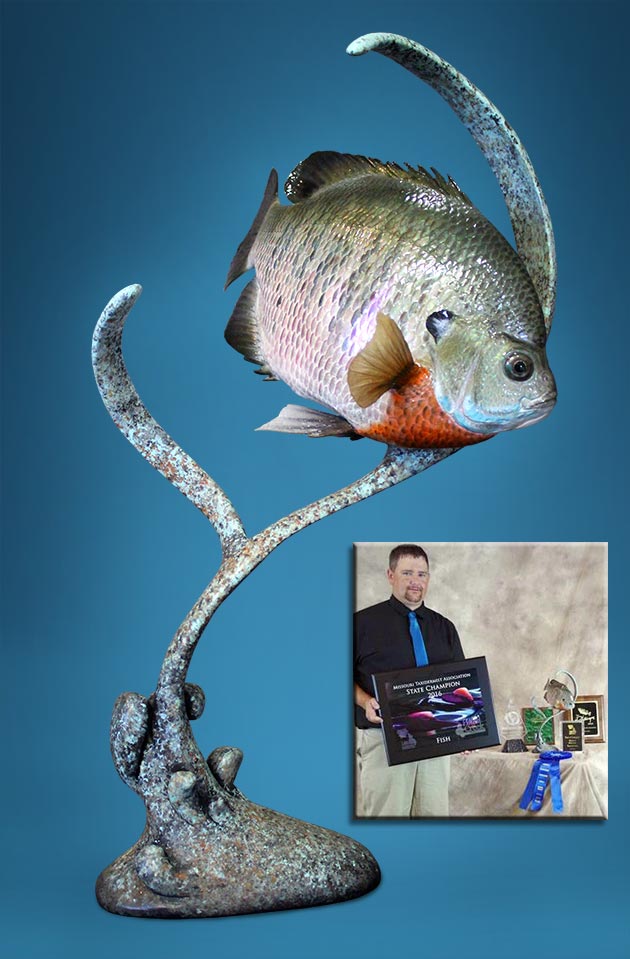 Cole Cruickshank's Bluegill