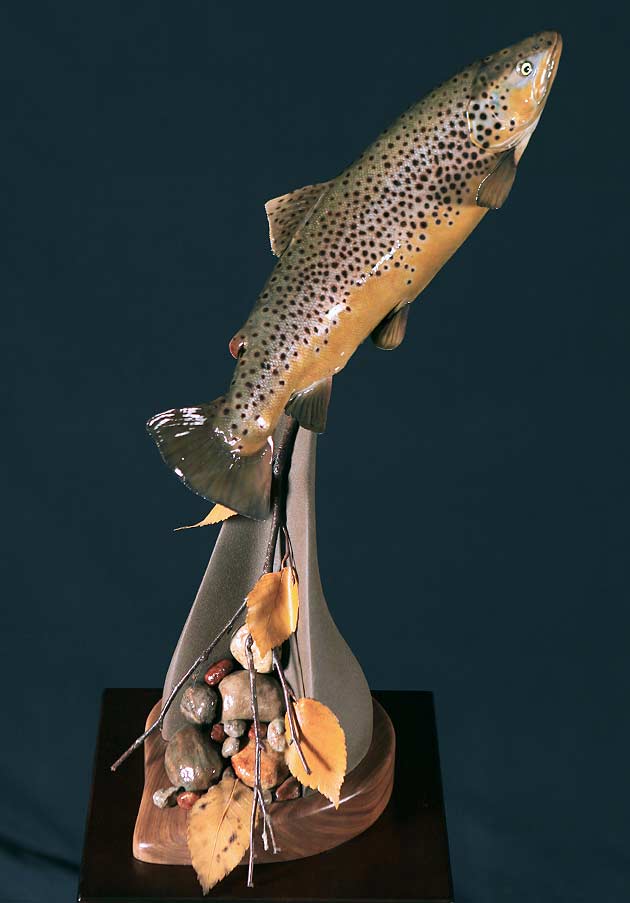 Tim Gorenchan's Brown Trout