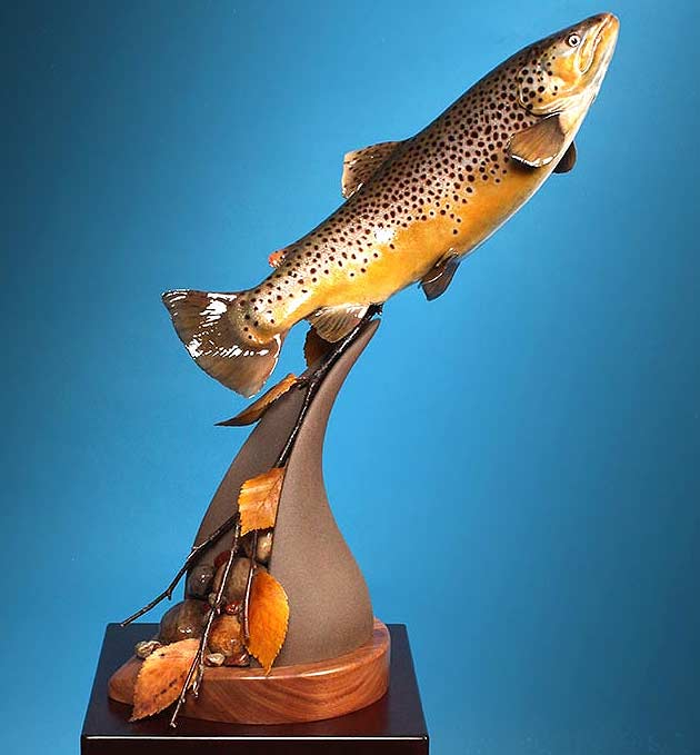 Timothy Gorenchan's Brown Trout