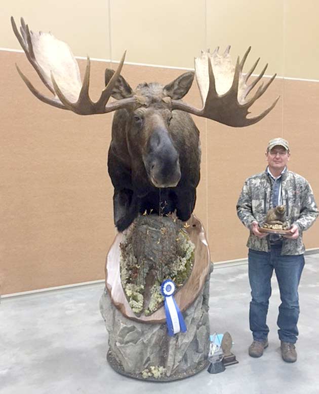Allen Malaise's Alaskan Moose