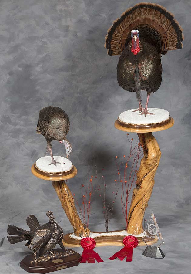 Troy Piotrowski's Wild Turkeys
