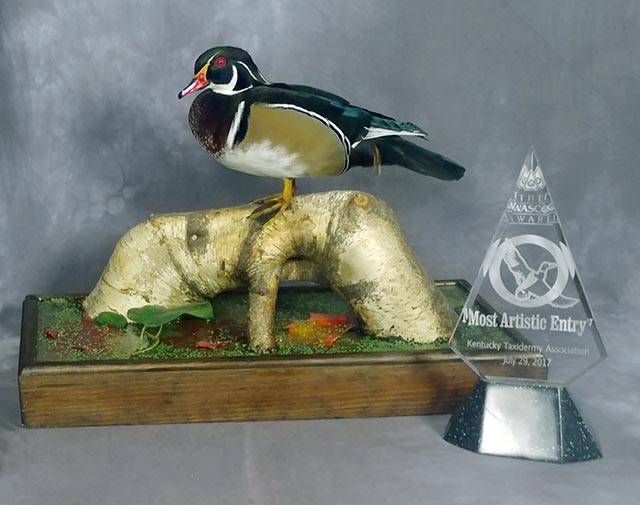 Dave Tuttle's Wood Duck