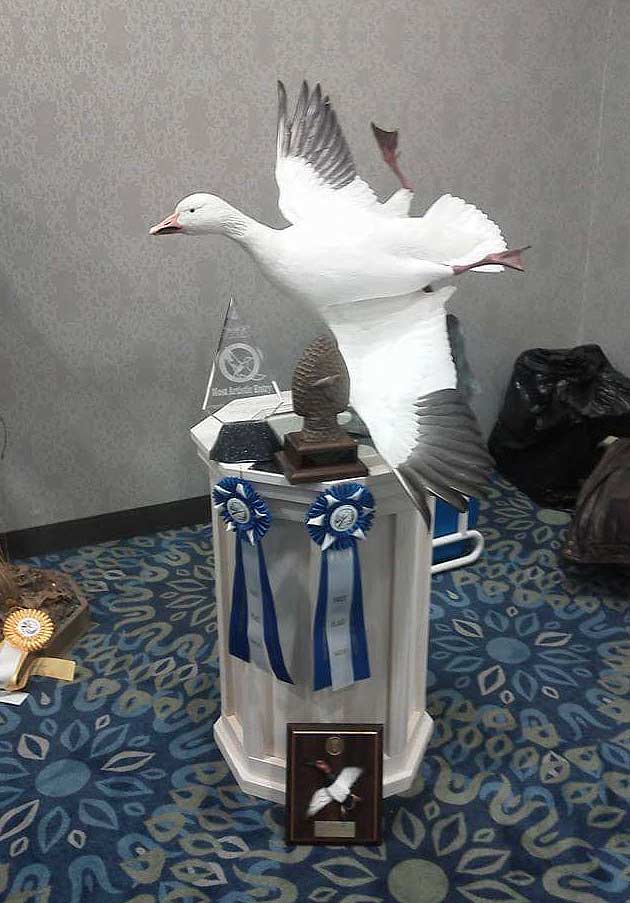 Shawn Powell's Brown Snow Goose