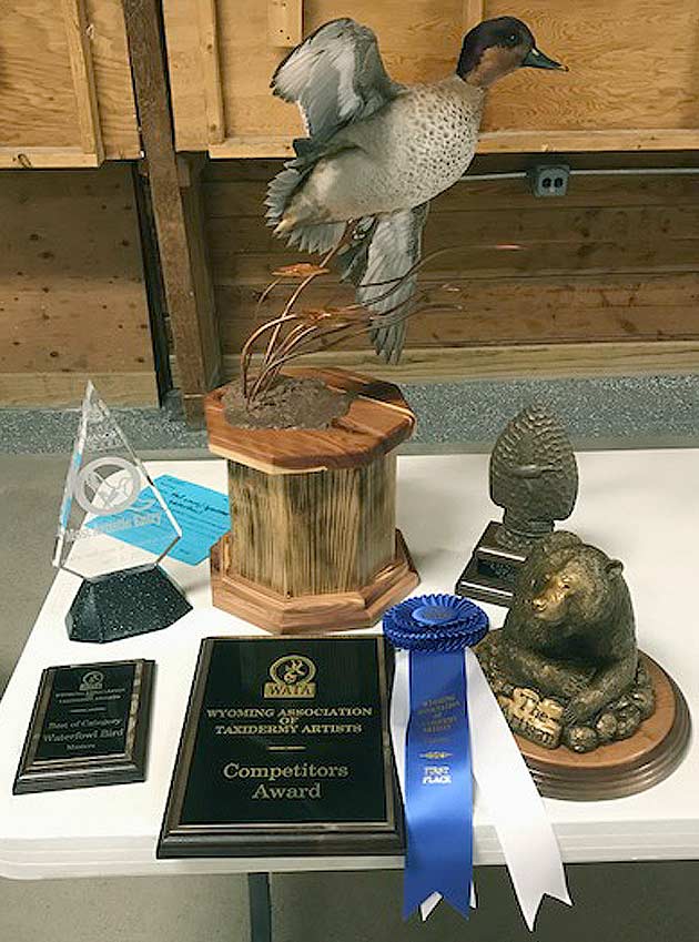 Tim Cooley's Green Wing Teal