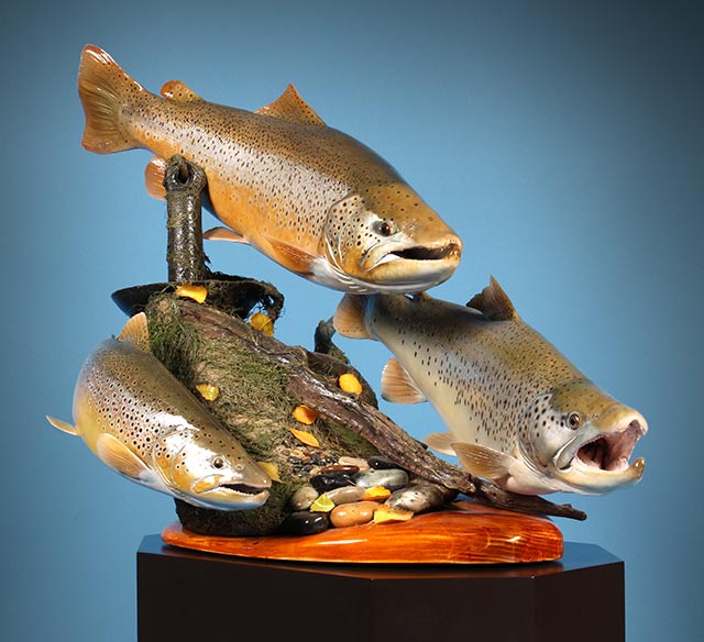 Terry Weick's Brown Trout Group