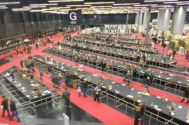 Competition Area